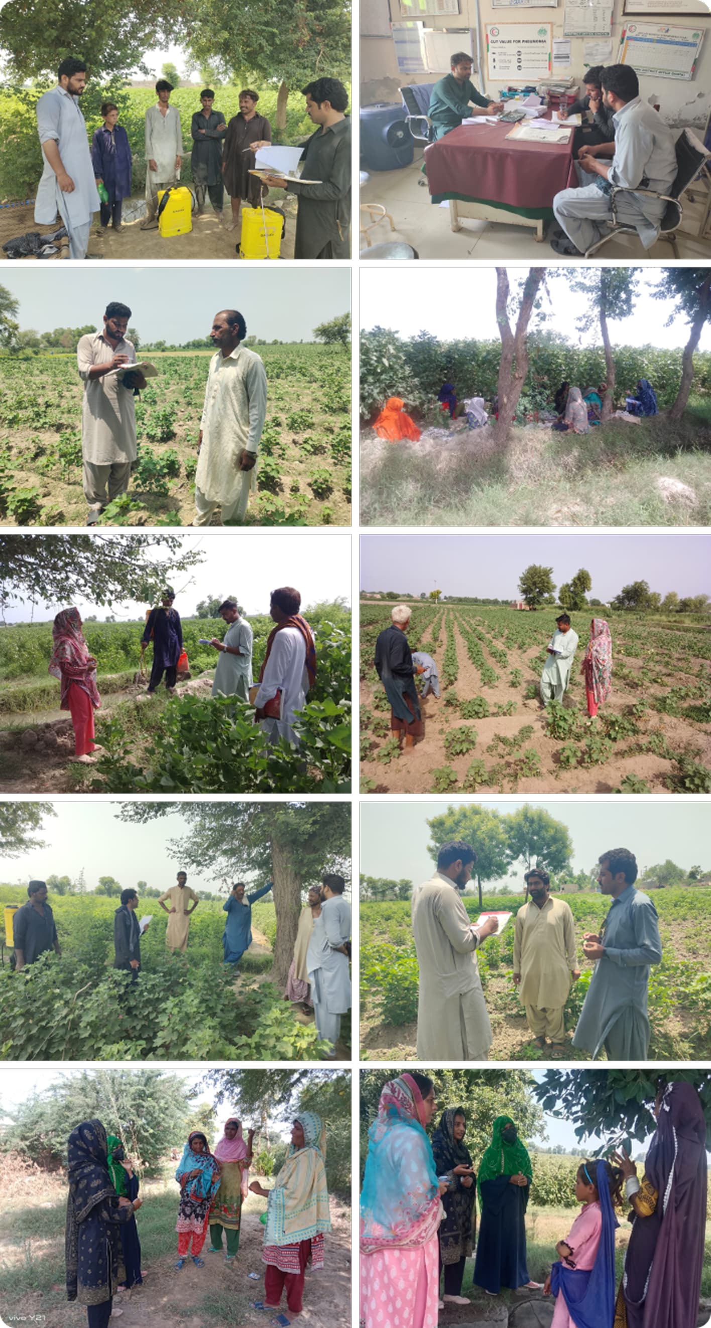 Field photography from Ghotki baseline assessment on a mobile-friendly image